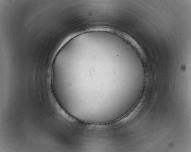 X0000101710860200807101407