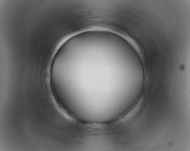 X0000101710862200807101407