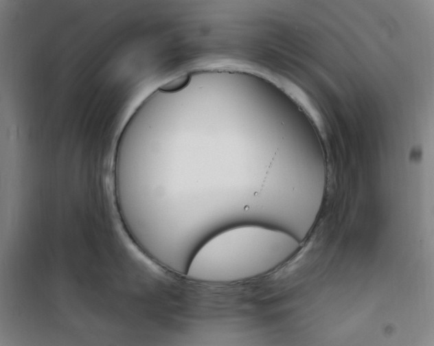X0000101710863200807101407