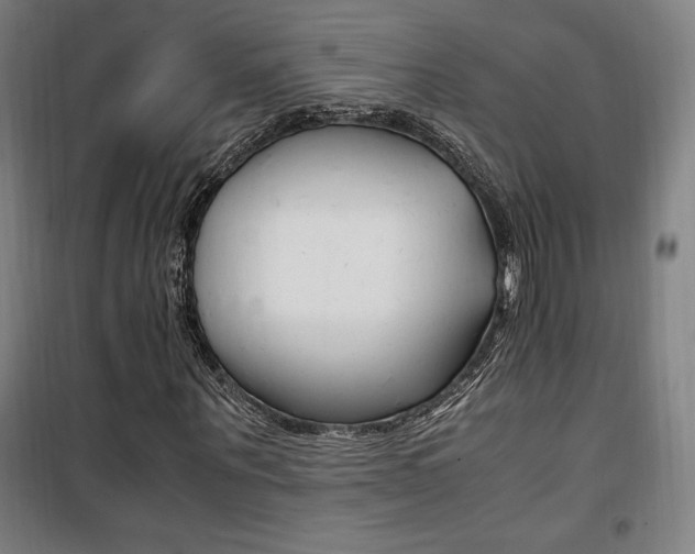 X0000101710867200807101406