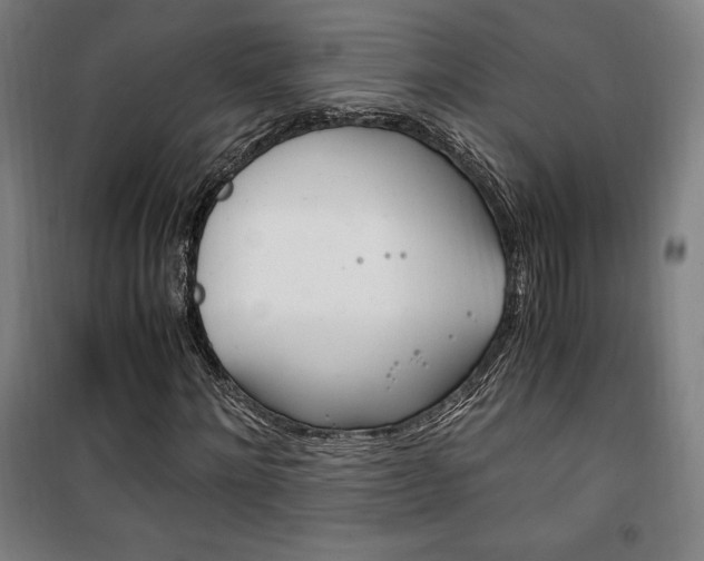 X0000101710868200807101406