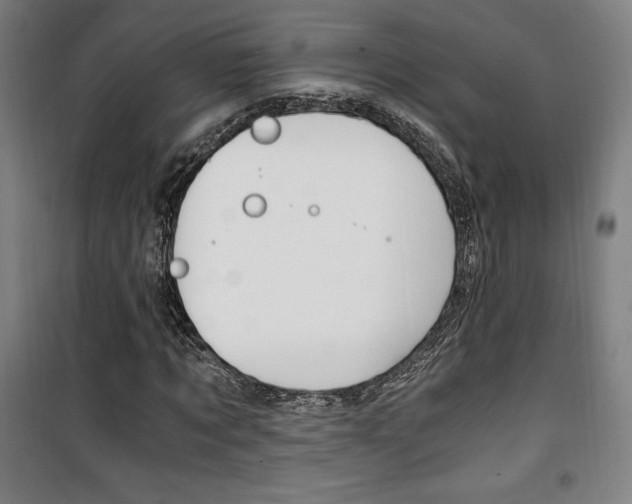 X0000101710869200807101406