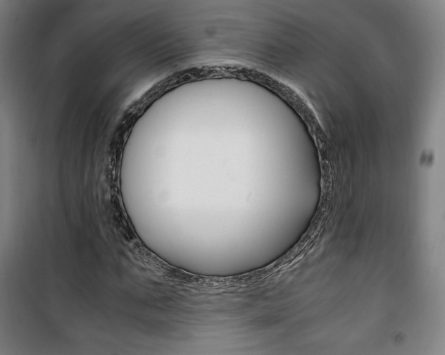 X0000101710871200807101406