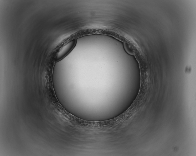 X0000101710872200807101406