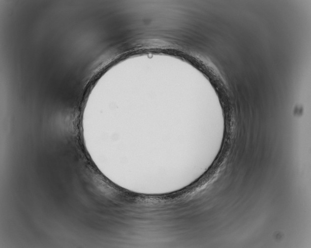 X0000101710873200807101406