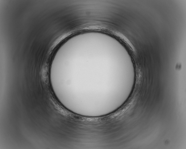 X0000101710874200807101406