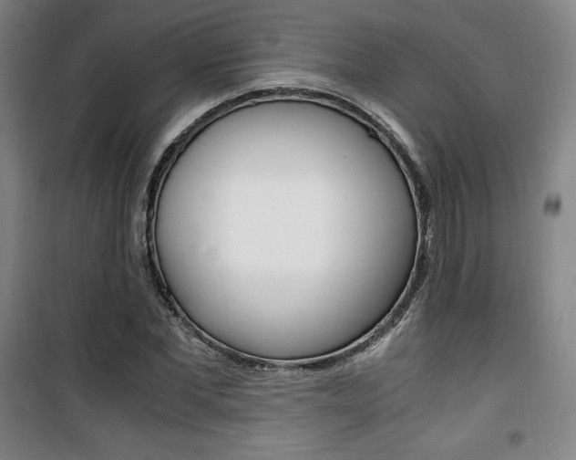 X0000101710877200807101406