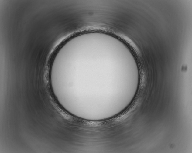 X0000101710878200807101406