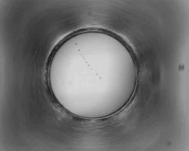 X0000101710879200807101406
