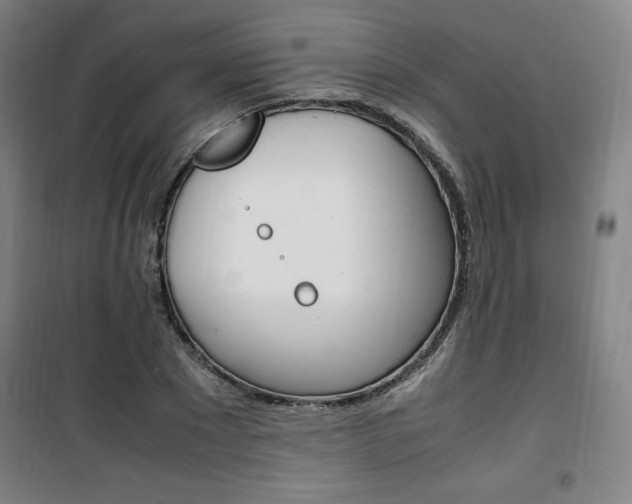X0000101710881200807101406
