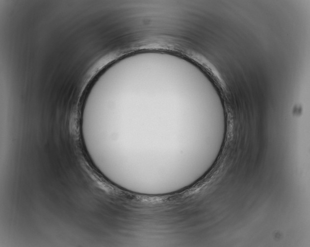 X0000101710882200807101406