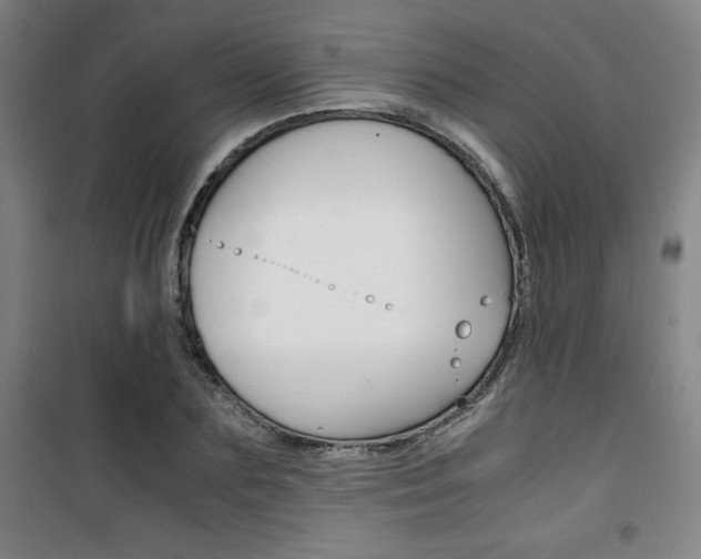 X0000101710883200807101406
