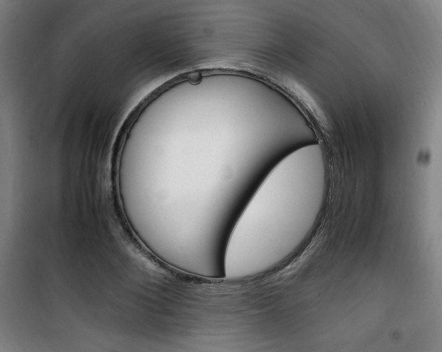 X0000101710884200807101406
