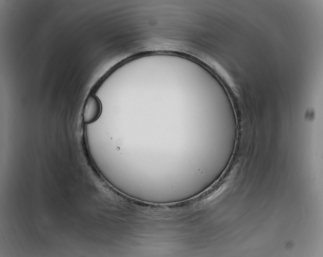 X0000101710885200807101406