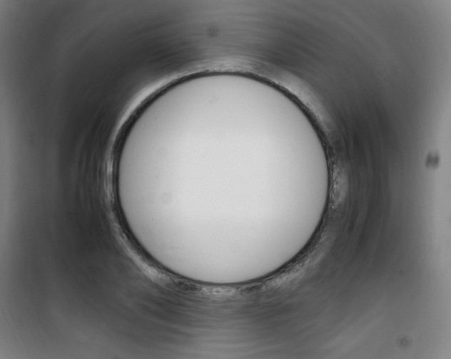 X0000101710886200807101406