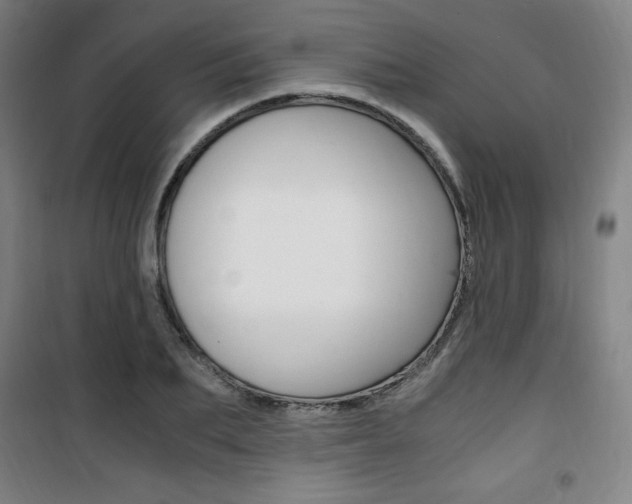 X0000101710887200807101406