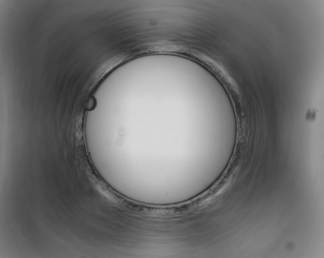 X0000101710889200807101406
