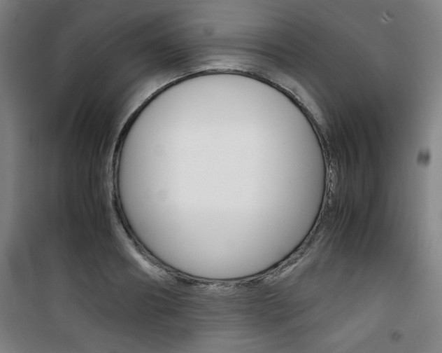 X0000101710890200807101406