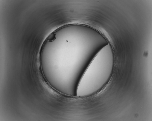 X0000101710892200807101406