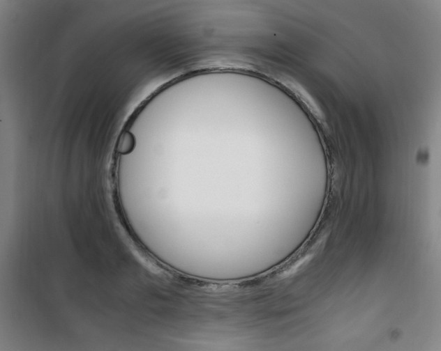 X0000101710893200807101406