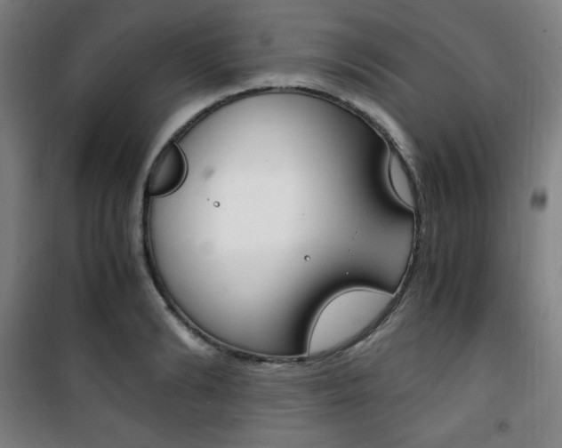 X0000101710894200807101406