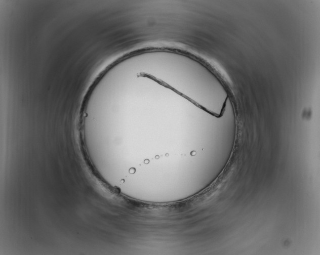 X0000101710895200807101406