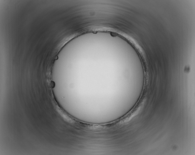 X0000101710897200807101406