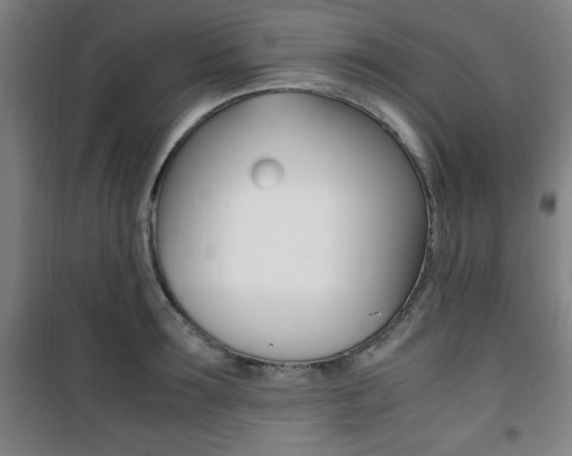X0000101710899200807101406