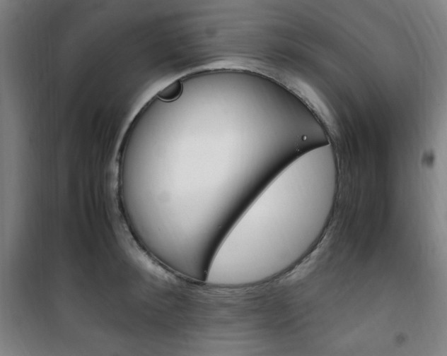 X0000101710900200807101406