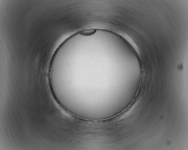 X0000101710901200807101406