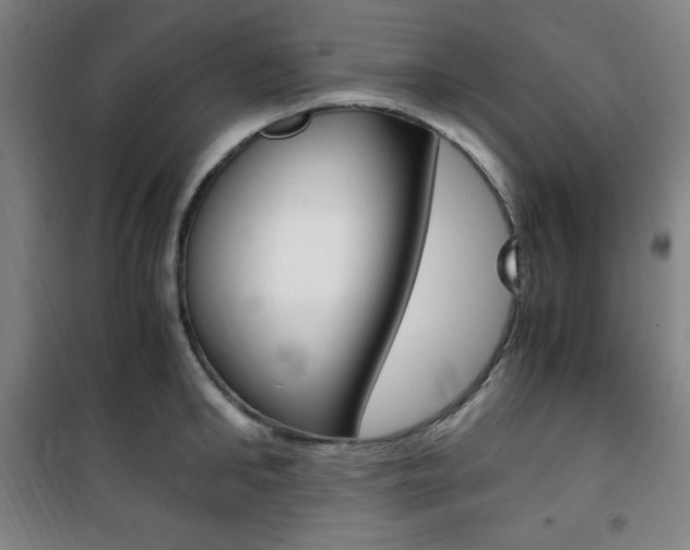X0000101710902200807101406