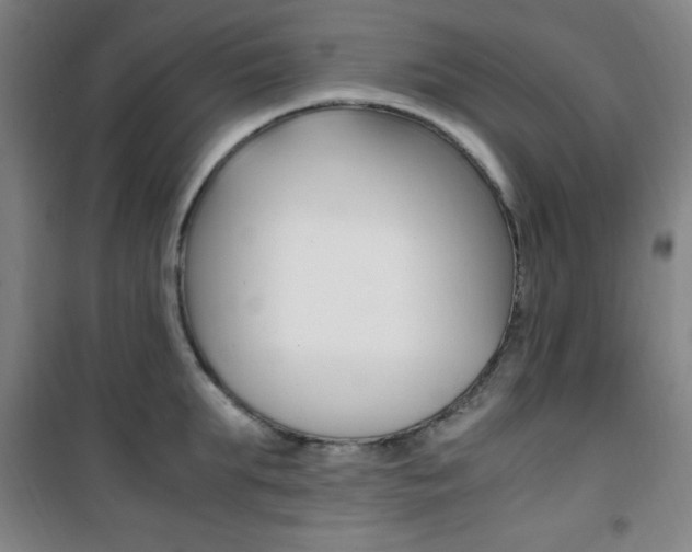 X0000101710903200807101406