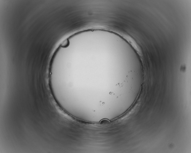 X0000101710904200807101406