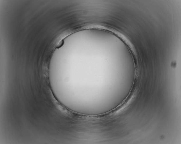X0000101710905200807101406