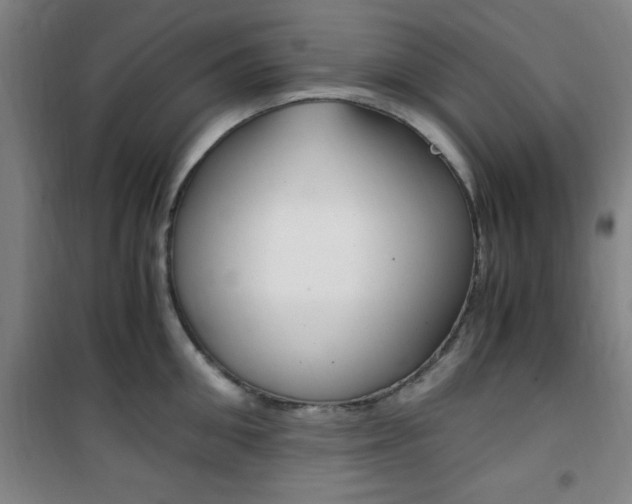 X0000101710906200807101406