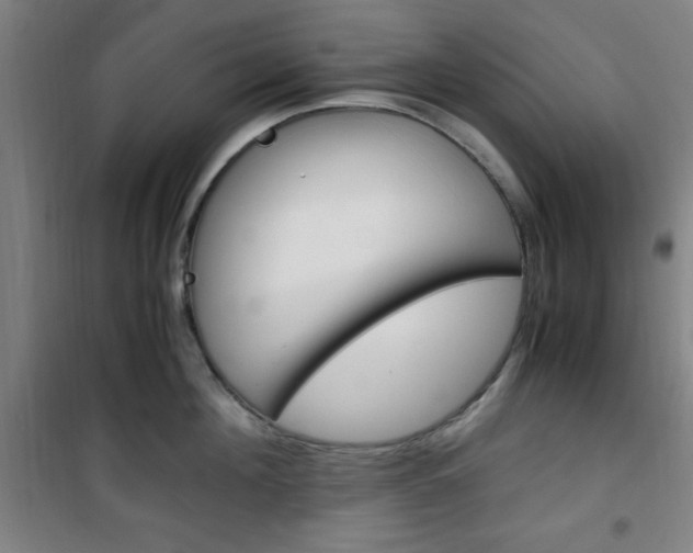 X0000101710908200807101405