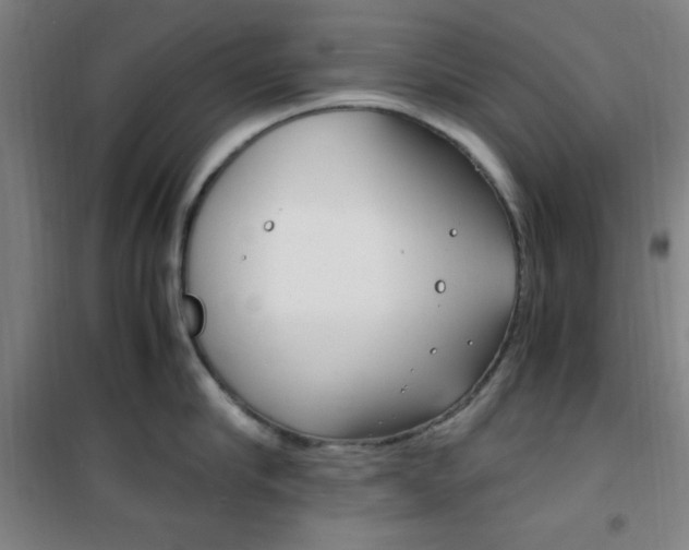 X0000101710910200807101405