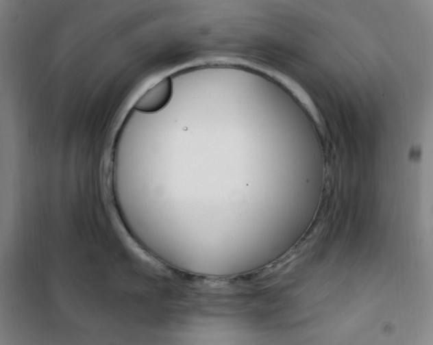X0000101710911200807101405