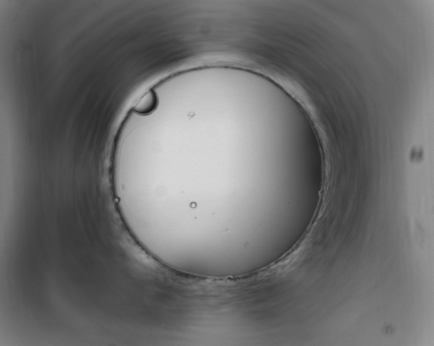 X0000101710912200807101405