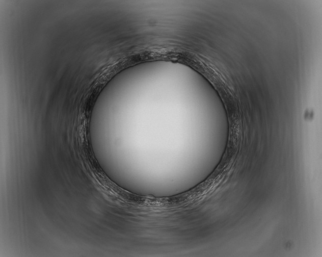 X0000101710914200807101405