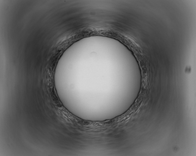 X0000101710917200807101405