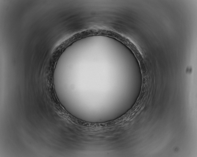 X0000101710919200807101405