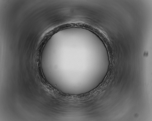 X0000101710920200807101405