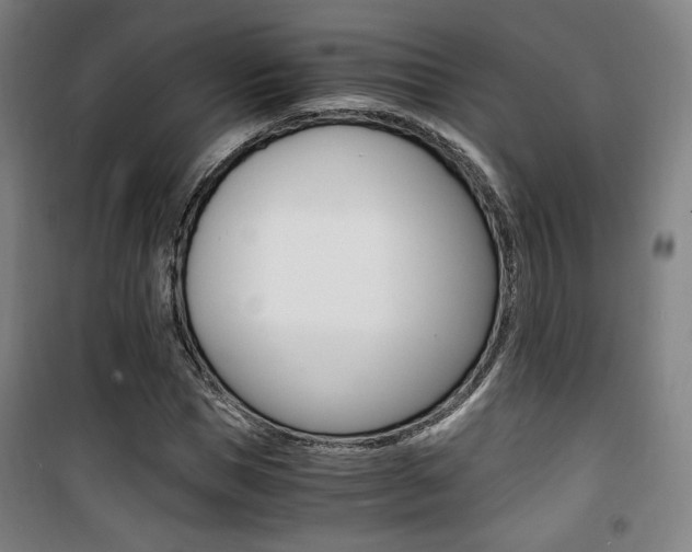 X0000101710921200807101405