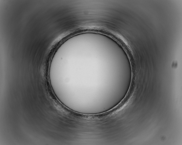 X0000101710922200807101405