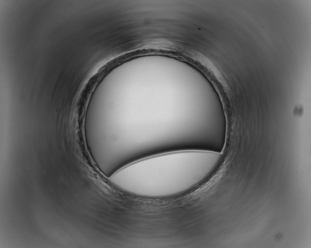 X0000101710923200807101405