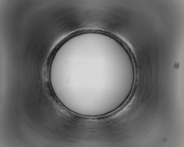 X0000101710925200807101405