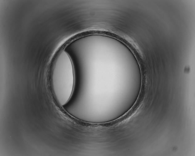 X0000101710926200807101405