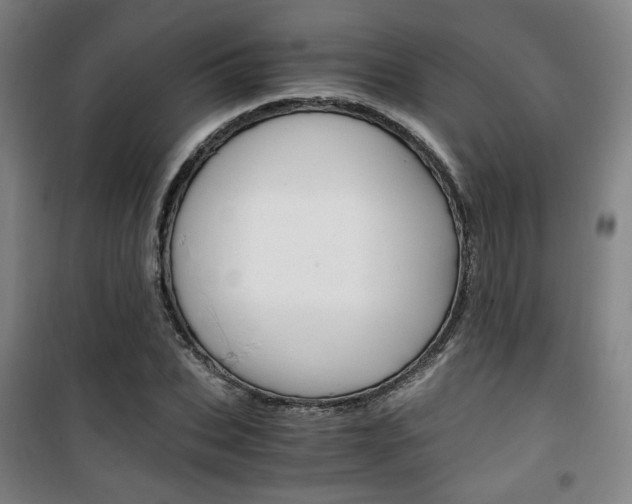 X0000101710927200807101405