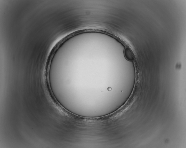 X0000101710928200807101405